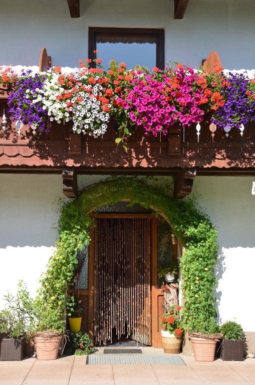 Hinterankerwald Apartman Walchsee Kültér fotó