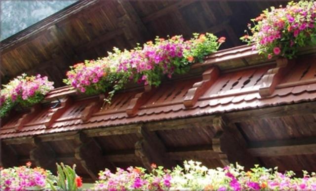 Hinterankerwald Apartman Walchsee Kültér fotó