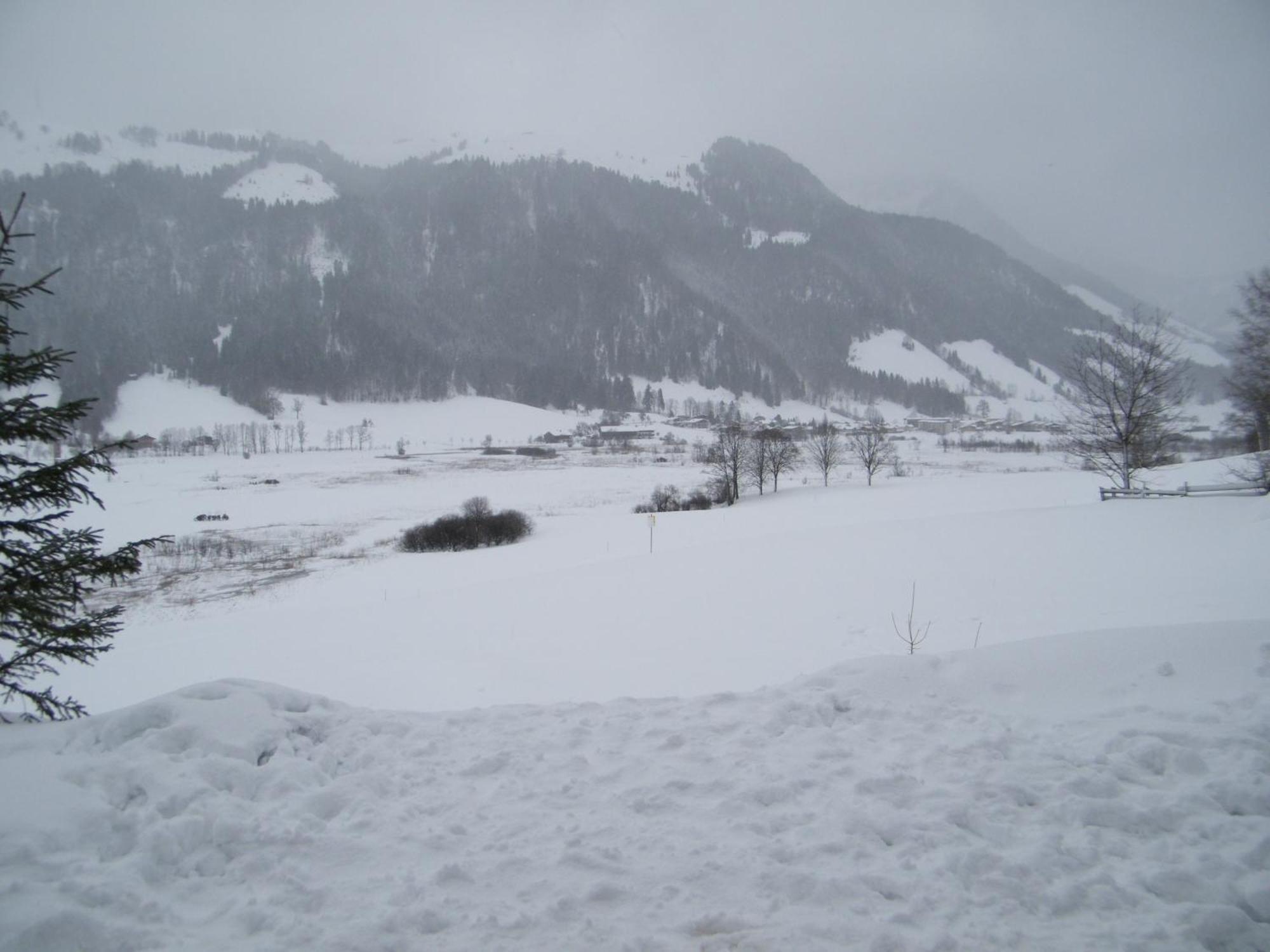 Hinterankerwald Apartman Walchsee Kültér fotó