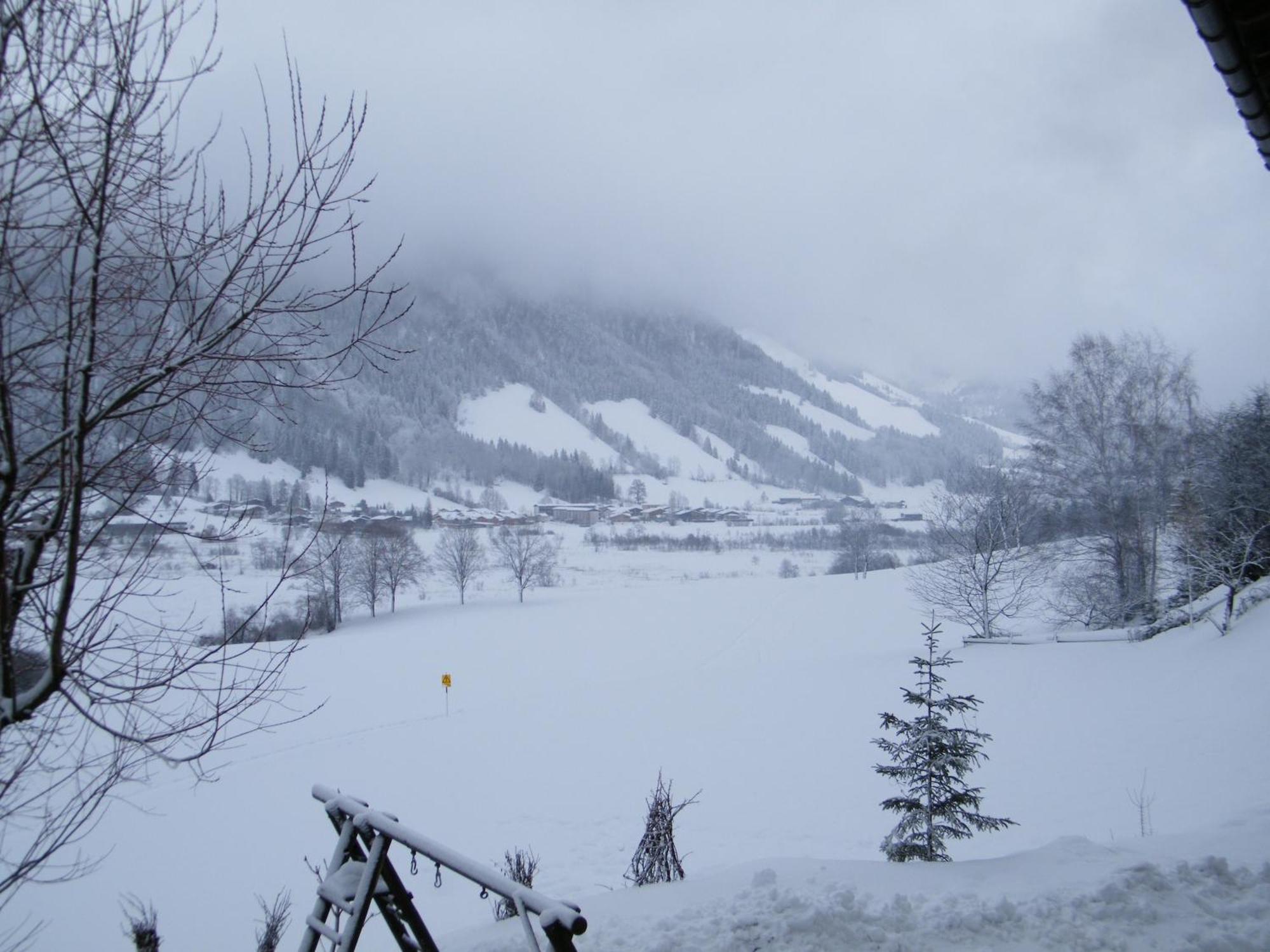 Hinterankerwald Apartman Walchsee Kültér fotó