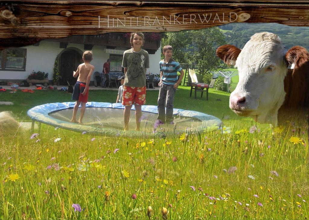 Hinterankerwald Apartman Walchsee Kültér fotó
